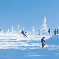 THINK DRINKING AND WINTER SPORTS ARE A GOOD MIX? SERIOUSLY?