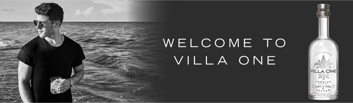 Welcome to Villa ONE
