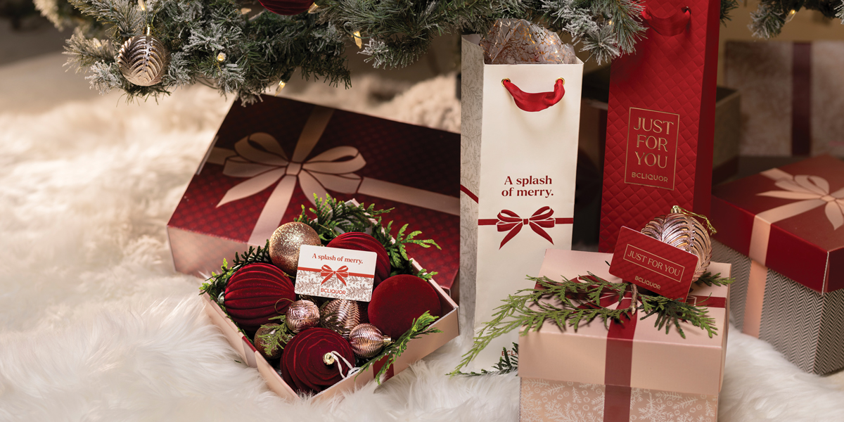 Holiday Gift Guide under 100