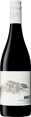 MONTEPULCIANO D'ABRUZZO - ANGELO