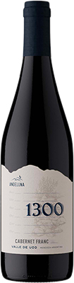 CABERNET FRANC - ANDELUNA 1300