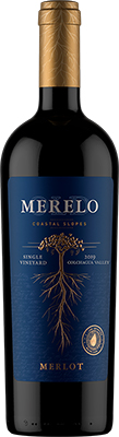 MERLOT - OLD MERELO COLCHAGUA 2019
