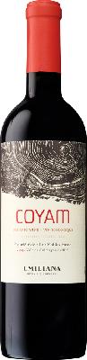 CHILEAN RED - EMILIANA COYAM COLCHAGUA